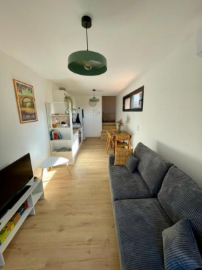 Bel appartement à Céret